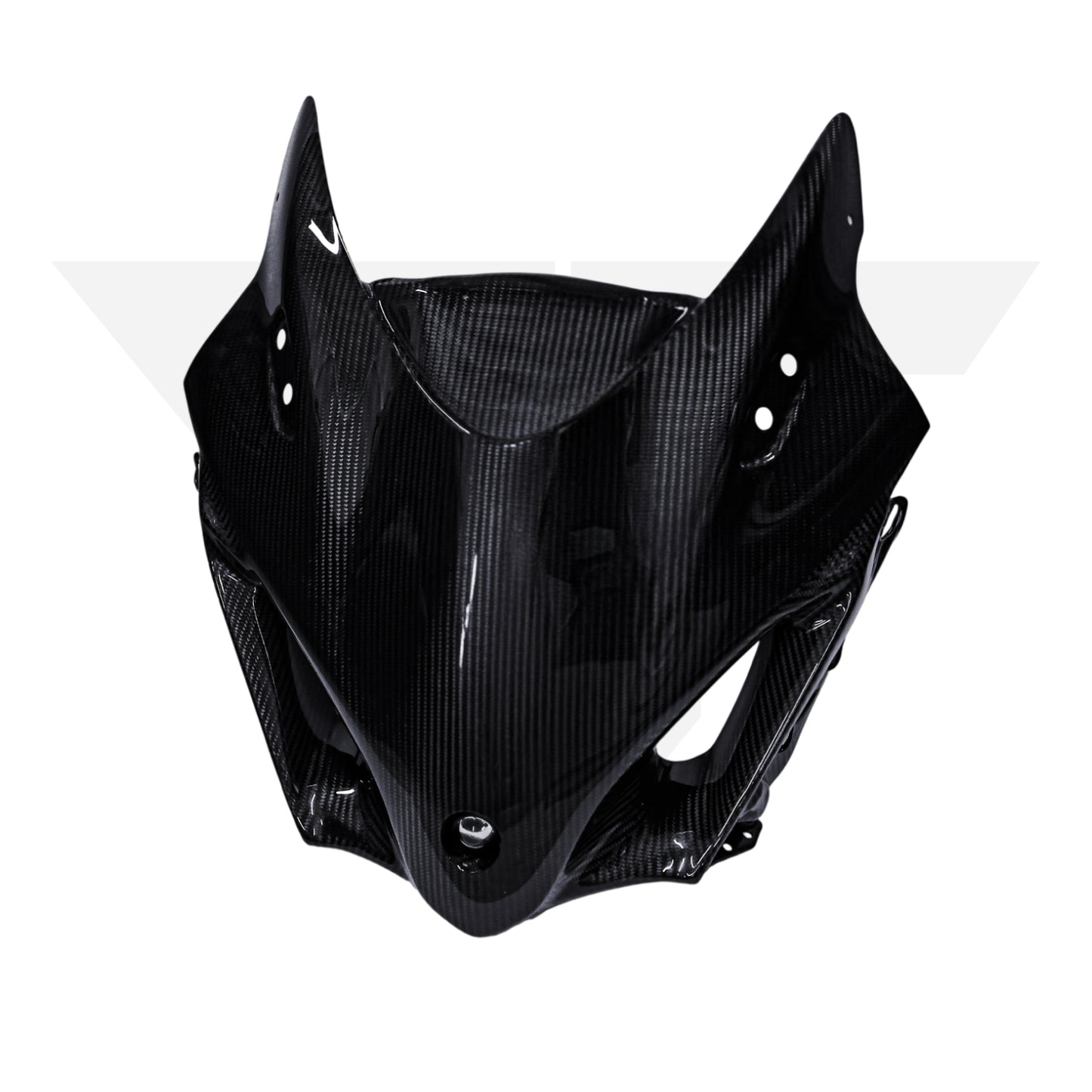 MotorFix Hayabusa 2022+ carbon Full Face